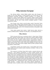 Viduramžių pilys 2 puslapis