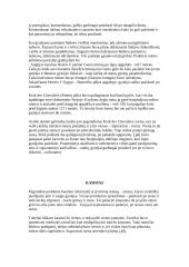 Viduramžių pilys 11 puslapis