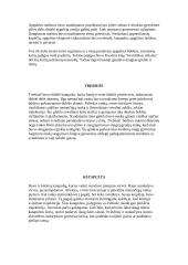 Viduramžių pilys 13 puslapis