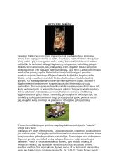 Viduramžių pilys 14 puslapis