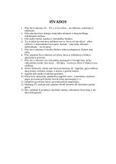 Viduramžių pilys 19 puslapis