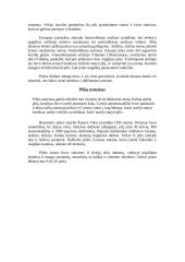 Viduramžių pilys 3 puslapis