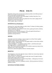 Viduramžių pilys 4 puslapis