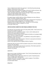 Viduramžių pilys 5 puslapis