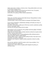 Viduramžių pilys 6 puslapis