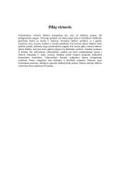 Viduramžių pilys 7 puslapis