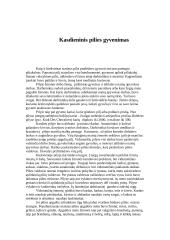 Viduramžių pilys 8 puslapis