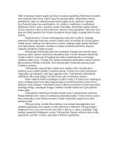 Viduramžių pilys 9 puslapis