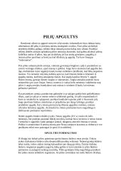 Viduramžių pilys 10 puslapis