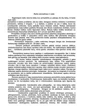 Spaudos atsiradimo reikšmė informaciniam visuomenės gyvenimui 2 puslapis