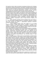 Žiniasklaida ir terorizmas 2 puslapis