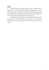 Jurgio Gerulio darbai dialektologijos srityje 3 puslapis