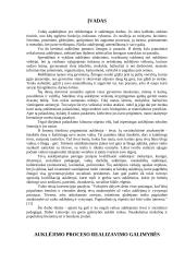 Auklėjimo proceso realizavimo galimybės 2 puslapis