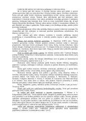 Auklėjimo proceso realizavimo galimybės 3 puslapis