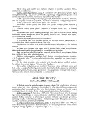 Auklėjimo proceso realizavimo galimybės 5 puslapis