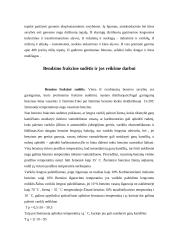 Naftos perdirbimas į degalus bei tepalus 3 puslapis