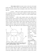 Naftos perdirbimas į degalus bei tepalus 7 puslapis