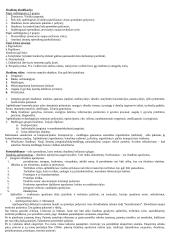 Išradybos teorija 2 puslapis