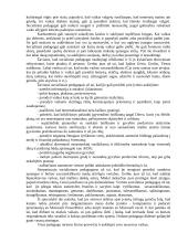 Kodėl man patinka ir nepatinka socialinio pedagogo specialybė 2 puslapis