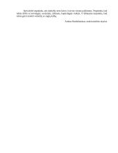 Kodėl man patinka ir nepatinka socialinio pedagogo specialybė 3 puslapis