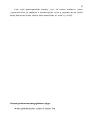 Pirkimo-pardavimo sutartis bei jos ypatybės 11 puslapis