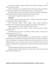 Pirkimo-pardavimo sutartis bei jos ypatybės 13 puslapis