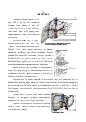 Ketosteroidų nustatymas šlapime 3 puslapis
