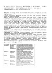 Šiek tiek informacijos apie baltymus 2 puslapis