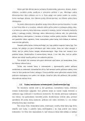 Kaina ir kainų politikos ekonominė prasmė 13 puslapis