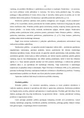 Realizavimo politika ir jos įgyvendinimo ypatumai UAB „Lietuviškas midus” 11 puslapis