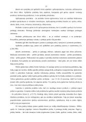 Realizavimo politika ir jos įgyvendinimo ypatumai UAB „Lietuviškas midus” 12 puslapis