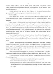 Realizavimo politika ir jos įgyvendinimo ypatumai UAB „Lietuviškas midus” 13 puslapis