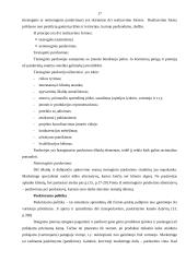 Realizavimo politika ir jos įgyvendinimo ypatumai UAB „Lietuviškas midus” 16 puslapis