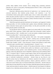 Realizavimo politika ir jos įgyvendinimo ypatumai UAB „Lietuviškas midus” 20 puslapis