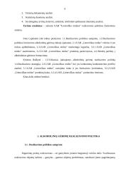 Realizavimo politika ir jos įgyvendinimo ypatumai UAB „Lietuviškas midus” 8 puslapis