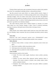 Rimi rėmimo politika 2 puslapis