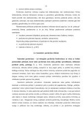 Rimi rėmimo politika 12 puslapis