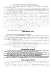 Teisės pažeidimas ir nusikaltimas. Bausmės skyrimo ir vykdymo filosofiniai aspektai 4 puslapis