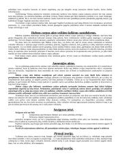 Teisės pažeidimas ir nusikaltimas. Bausmės skyrimo ir vykdymo filosofiniai aspektai 5 puslapis