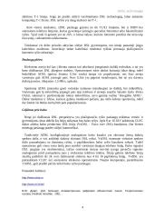 ADSL technologija 4 puslapis