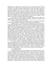 Vytauto kova dėl valdžios 2 puslapis