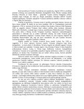 Vytauto kova dėl valdžios 11 puslapis