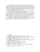 Vytauto kova dėl valdžios 12 puslapis