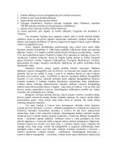 Vytauto kova dėl valdžios 7 puslapis