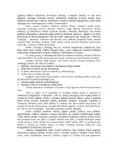 Vytauto kova dėl valdžios 8 puslapis