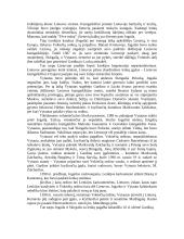 Vytauto kova dėl valdžios 9 puslapis