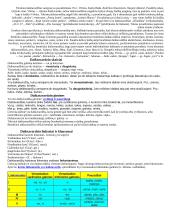 Visa informacija apie daiktavardį 2 puslapis