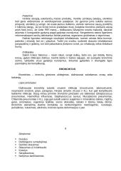 Kvėpavimo takų ligos ir gydymas 11 puslapis