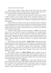 Politika ir politiniai interesai 2 puslapis