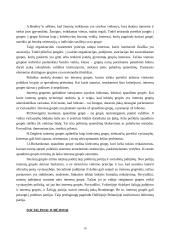 Politika ir politiniai interesai 16 puslapis